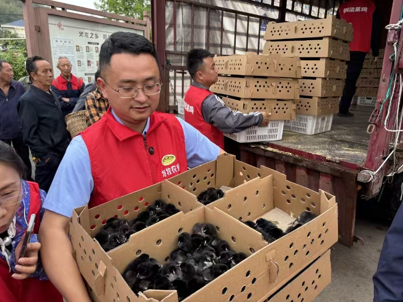 QQ图片20260706141815